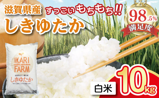【7年産】すっごいもちもち 「しきゆたか」 白米【10kg(5kg×2袋)】【C004W1】