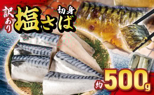 訳あり 塩サバ切身 約500g ノルウェー産 冷凍 ｻﾊﾞ 鯖 塩サバ 塩鯖 鯖切身 鯖切り身 サバ切身 サバ切り身 切り身 切身 海鮮 魚 大容量 青魚 おかず 惣菜 魚介 おつまみ 弁当 人気 冷凍食品 グルメ 贈答 贈物 ギフト 長期保存 小分け お取り寄せ BBQ 送料無料 ふるさと納税 ふるさと納税サバ 千葉県 銚子市 大一奈村魚問屋