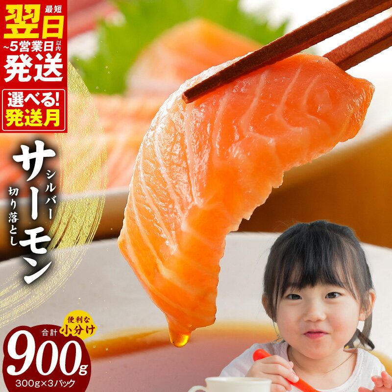 ＼発送時期が選べる／ シルバーサーモン （ 銀鮭 ） 切り落とし 900g 小分け 300g × 3パック サーモン 鮭 刺身 魚介類 魚 海鮮 和食 洋食 ご飯のお供 サラダ カルパッチョ 食品 お取り寄せ グルメ 関西 大阪府 泉佐野市 冷凍 送料無料