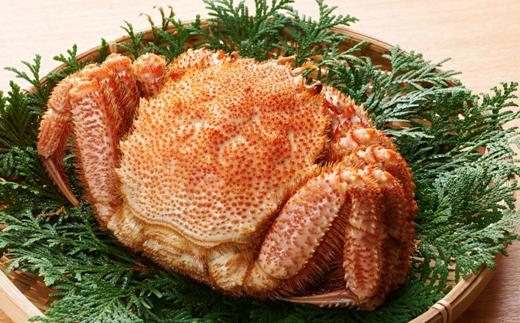 冷凍でも鮮度そのまま！北海道白糠産毛ガニ　中サイズ450g以上