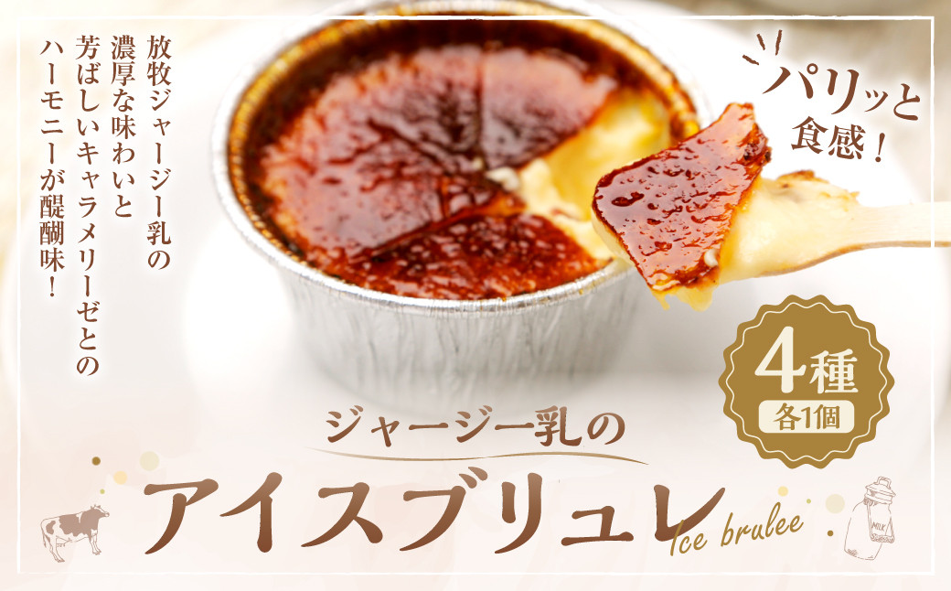 
            ジャージー乳の アイス ブリュレ 4種 セット
          