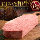 【ふるさと納税】おおいた 和牛 サーロイン ブロック 【 1 kg 】牛肉 九州産 大分県産 姫島村 G24