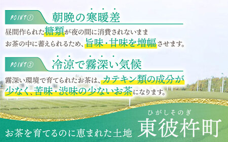 そのぎ茶「秀緑」と美軽茶 ギフトセット 茶 お茶 緑茶 茶葉 ティーバッグ 東彼杵町/西坂秀徳製茶[BBP001] / 美軽茶 ギフト セット 茶 お茶 緑茶 茶葉 ティーバッグ 美軽茶 ギフト セッ