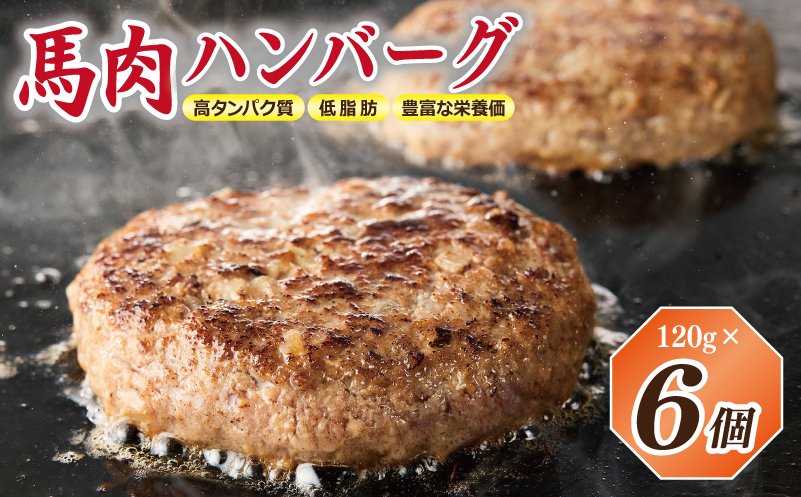 桜文 馬肉ハンバーグ 総量720g（120g×6個） 個包装 お試し【大阪 泉佐野 大阪府 泉佐野市】