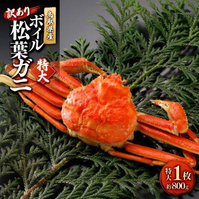 ふるさと納税 境港市 <11月中旬〜2月下旬配送予定>鳥取県産　訳ありボイル松葉ガニ(特大1枚)
