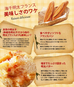 明太フランス5本 パンパンパンパンパン KIS