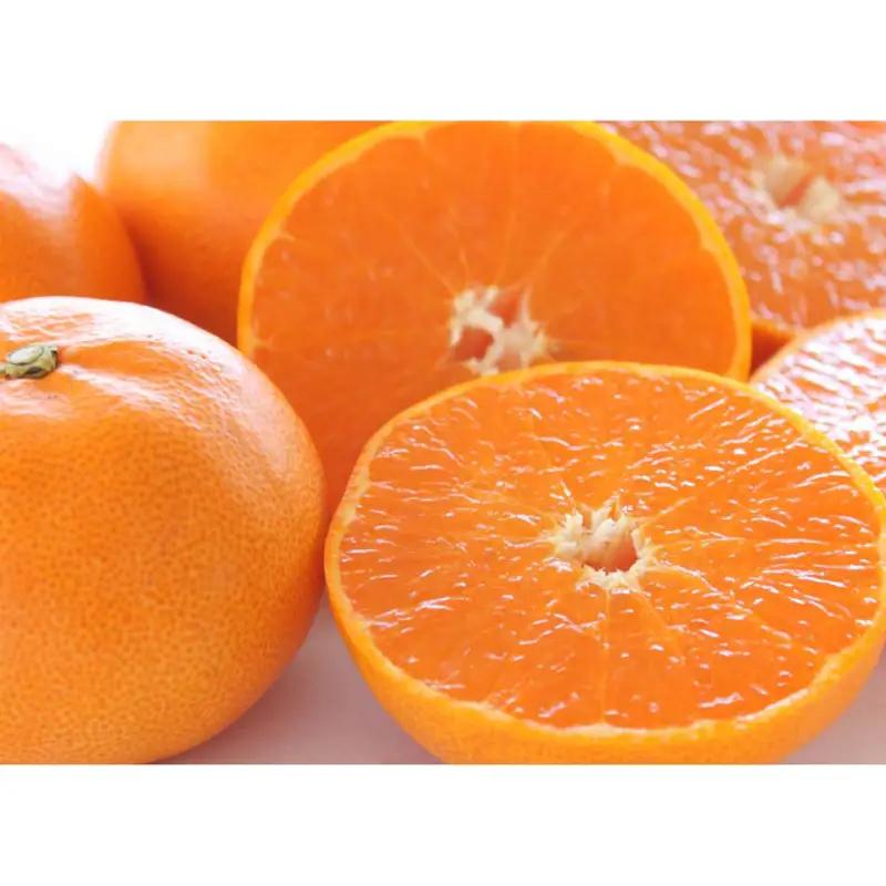 数量限定  瀬戸内せとか 約5kg【ご家庭用】 蜜柑 ジューシー 果汁 甘さ 香り コク  FAH-0039