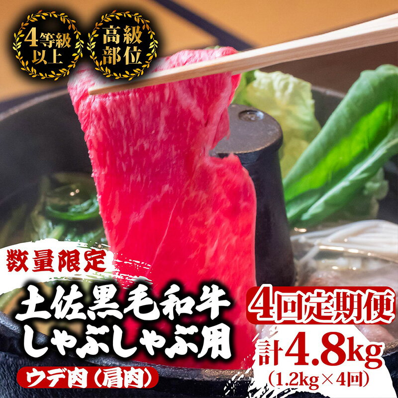 【ふるさと納税】 【定期便4回】土佐黒毛和牛ウデ肉しゃぶしゃぶ用 計4.8kg（1.2kg×4ヶ月連続お届け) 3Dコース | 特撰 ウデ肉 肩肉 最上位等級 A4 A5 最高ランク 贅沢 しゃぶしゃぶ　鍋 スライス 焼肉用 小分け 冷凍 国産 牛肉 高知県 須崎 TM58000