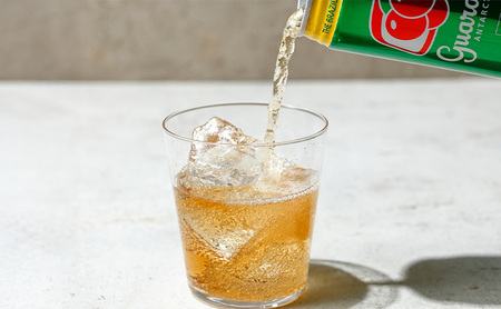 ガラナ・アンタルチカ 350ml×24本 セット 炭酸飲料 ブラジル ガラナ飲料