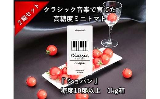 高糖度ミニトマト：クラシックトマト『ショパン』1kg箱 x 2箱＜北海道・沖縄県・離島は発送不可＞【 糖度10度以上 『酸味とのバランス』 『口に広がる余韻』 長野県 佐久市 旬彩 フルーツトマト 】