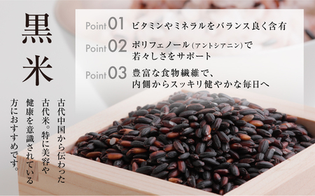 【定期便3回】黒米 800g (400g × 2袋）米 こめ ごはん 健康 古代米 岐阜県産 本巣市 お米 美容 健康 おにぎり 弁当 おいしい 旨味 ぷちぷち 和食 アグリフレンドホリグチ 3か月