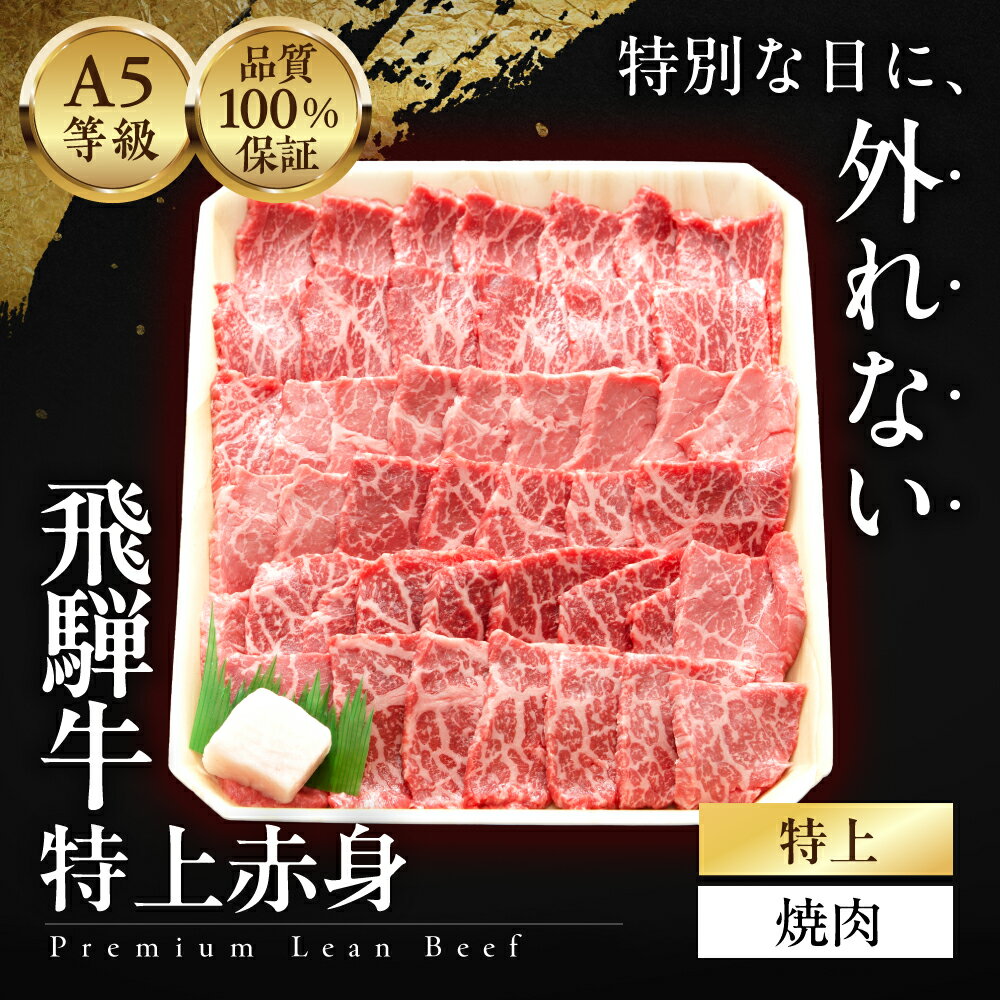 【ふるさと納税】 ≪品質100% 保証≫　A5等級飛騨牛 特上 赤身 焼肉 1kg/ 500g/ 300g