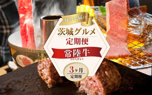 
                  3ヶ月 定期便 肉 常陸牛 3ヶ月 定期便 Bコース 食べ物 肉 常陸牛ハンバーグ 10個 無添加 冷凍 焼き肉 カルビ 焼肉 しゃぶしゃぶ ギフト セット国産牛 黒毛和牛 父の日 お取り寄せ お祝い 内祝い 出産 結婚 快気祝いプレゼント 誕生日 ギフト対応  茨城県 水戸市 肉のイイジマ(DU-104)
                