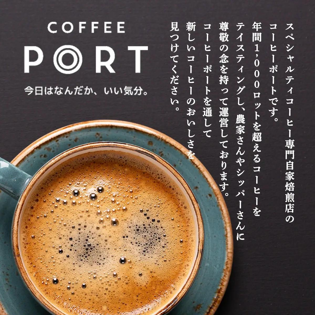 スペシャルティコーヒー100％　特別なアイスコーヒー2本セット [011-a020]