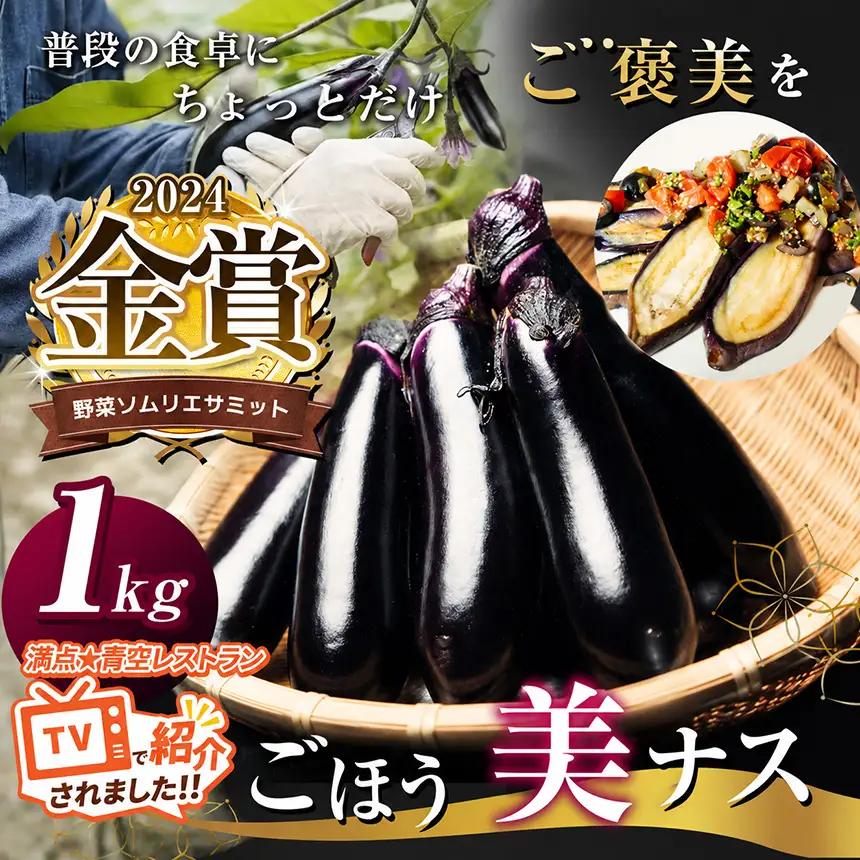【ふるなびWEEK対象】野菜ソムリエサミット金賞「ごほう美ナス」 約1kg