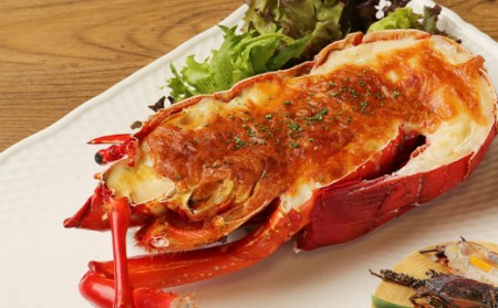 室戸の海からの贈り物（年１２回定期便） _iz007