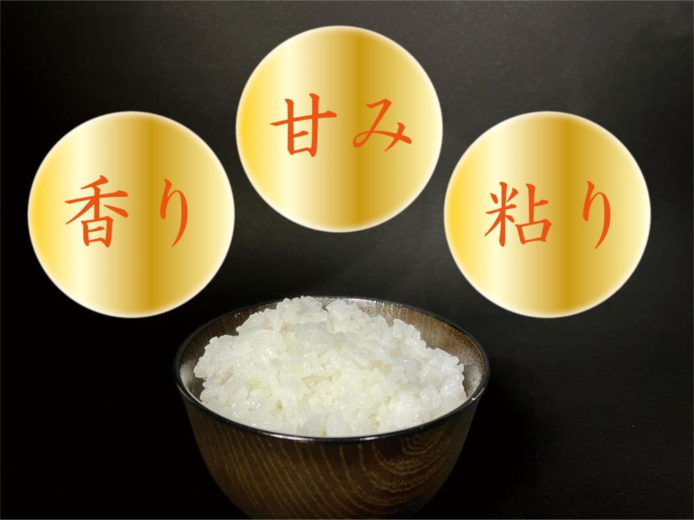 【令和8年産 新米】【定期便 南魚沼産】コシヒカリ 白米10kg×6回【定期便 銘柄米 ブランド米 精米 こしひかり コシヒカリ 魚沼産 新潟米 産地直送 お米 米 こめ コメ ご飯 御飯 ごはん】