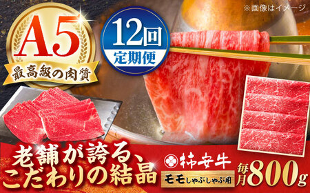 【12回定期便】モモ 800g AMBW014 和牛モモ 和牛モモ 和牛モモ 和牛モモ 和牛モモ