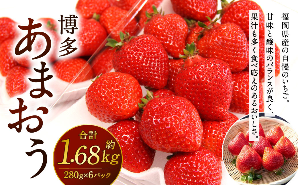 福岡県産 博多あまおう 約1.68kg (約280g×6パック入り)【2025年1月下旬～3月下旬発送予定】 いちご 苺 果物 フルーツ