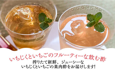 【全6回定期便】＜いちじく美人・いちご美人＞ 飲む酢 2本 セット《豊前市》【株式会社ワカヤマ】地産 福岡 万能 調味料 酢[VBW021] 酢 お酢 飲む酢 酢セット 酢 お酢 飲む酢 酢セット 酢