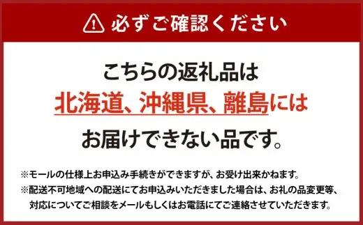 訳あり つる付きニューピオーネ 3房 （ 1房 530g以上 ） 露地栽培 ニューピオーネ つる付き 果汁 果物 くだもの 果実 フルーツ 葡萄 ぶどう ブドウ 【 2026年9月上旬～10月下旬発送