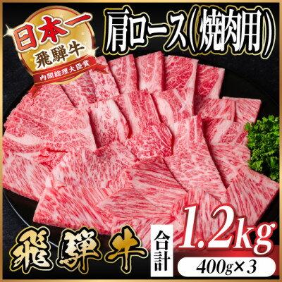 【ふるさと納税】飛騨牛　厳選肩ロース(焼肉・BBQ用)1.2kg(400g×3)　A4～A5等級【冷凍便】小分け【配送不可地域：離島】【1674166】