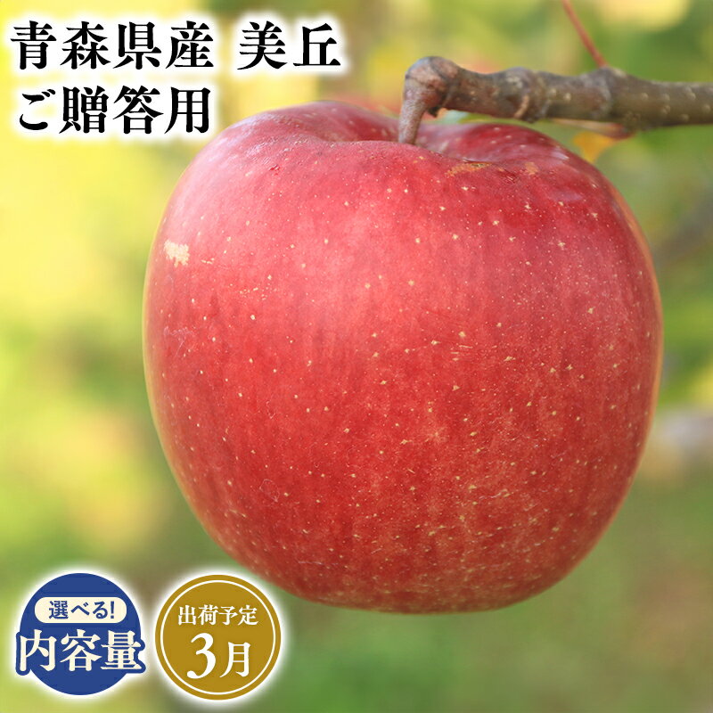 【ふるさと納税】2025年度産 先行予約!≪内容量が選べる≫青森県産 贈答用 美丘 3kg 5kg 10kg【青森県 平川市 そと川りんご園】3月発送 贈答 青森 青森県産 平川 りんご リンゴ 林檎 くだもの 果物 フルーツ レビューキャンペーン