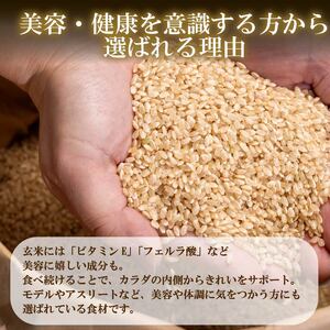 【 定期便3回 】 こだわりの玄米ごはんパック 120g 24個 こしひかり