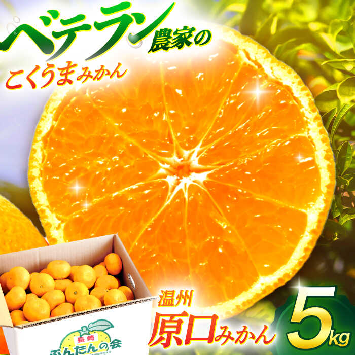 【ふるさと納税】【先行予約】温州原口みかん 約5kg【長崎ぶんたんの会】[OAF004] / ミカン 蜜柑 フルーツ 果物 甘い かんきつ 産地直送 数量限定 長崎県産 くだもの 柑橘 デザート ふるーつ 早生 温州みかん 高糖度 さっぱり フルーツポンチ こたつ 家庭用 団らん ジュース