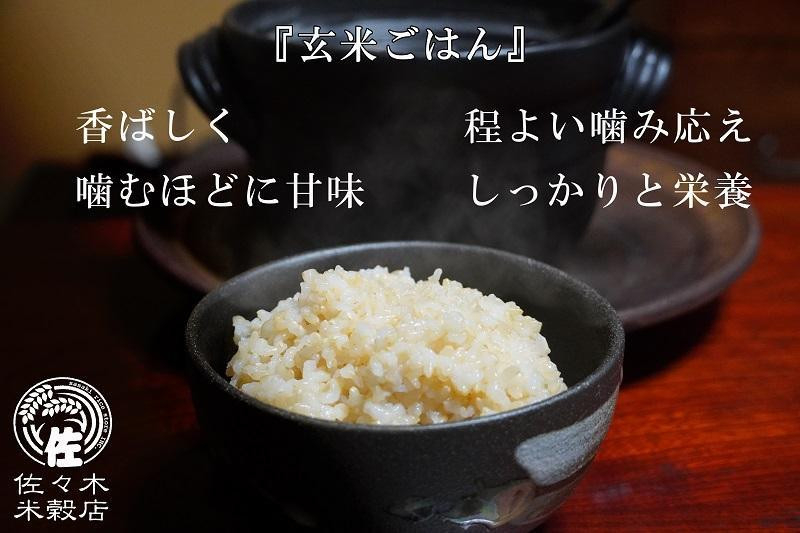 五つ星お米マイスター 厳選 盛岡市産 銀河のしずく 10kg 5kg×2袋 玄米 米 こめ コメ お米 ご飯 ごはん ライス グルメ 五つ星 5つ星 5ツ星 お米マイスター 5kg 5キロ 単品 単一