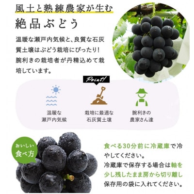 岡山県産　ニューピオーネ4房(1房480g以上)【配送不可地域：離島】