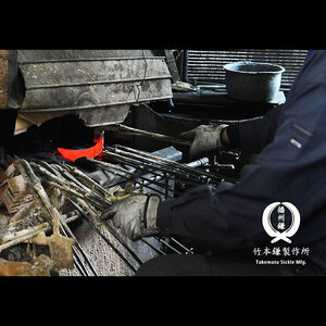 アガベ ・キノコ鎌　Agave Mushroom sickle／135ｍｍ　園芸 鎌 観葉植物 収穫 繁殖 胴切り 子株切り ガーデニング