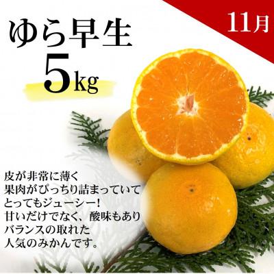 ふるさと納税 日高町 【発送月固定定期便】季節の柑橘定期便(ゆら早生みかん・完熟みかん・不知火・はるかみかん)全4回 |  | 01