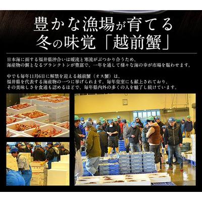ふるさと納税 敦賀市 まるごと使用!ズワイ蟹甲羅盛り × 3個 セット【しおそう かに 蟹】 |  | 01