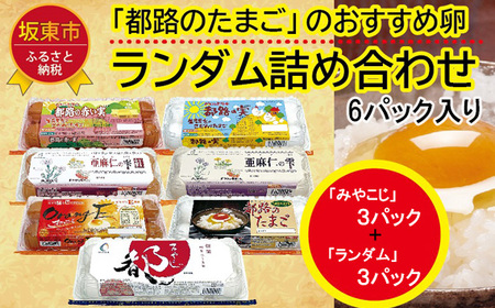 たまご好きが唸る！「都路のたまご」バラエティーパック※「みやこじ」30個（25個＋卵割れ補償5個）、「ランダム」30個（25個＋卵割れ補償5個） No.432