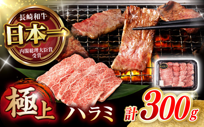 
            【柔らかさとコクの融合！】長崎和牛 ハラミ 300g / 国産 牛肉 和牛 焼肉 はらみ / 諫早市 / 野中精肉店 [AHCW115]
          