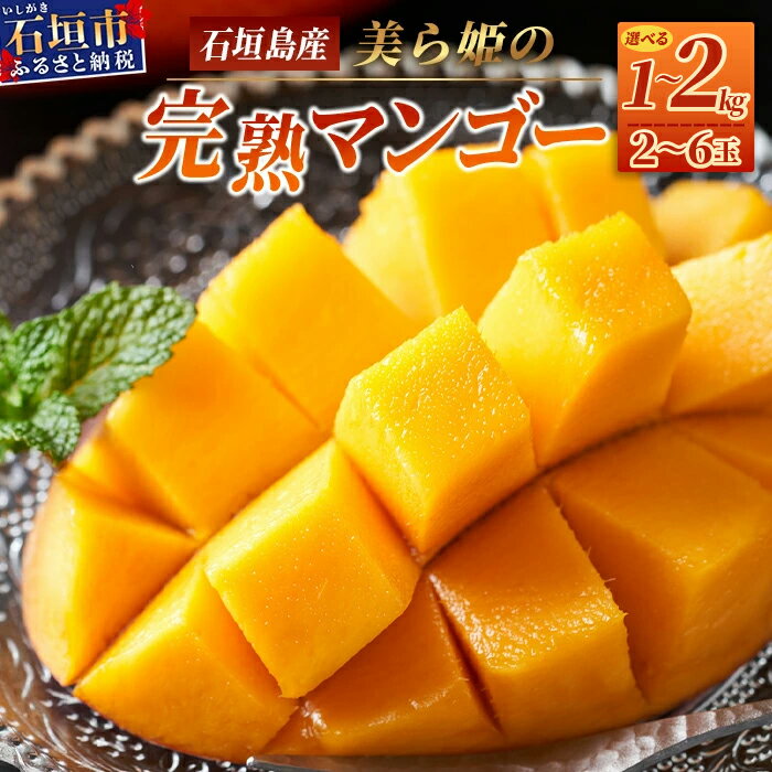 【ふるさと納税】＜選べる容量＞美ら姫マンゴー1kg~2kg（完熟・アーウィン種）≪2026年7月中旬〜順次発送≫ | ふるさと納税 マンゴー 完熟 冷蔵 フルーツ 果物 沖縄県 石垣市 石垣島 産地直送 ふるさと 人気 送料無料 CB-1/CB-2