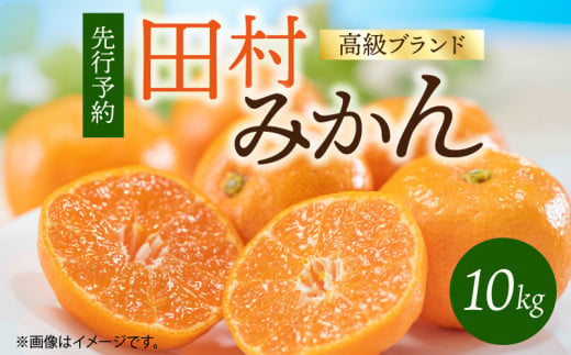 G7341_【2025年 先行予約】高級ブランド 田村みかん 10kg