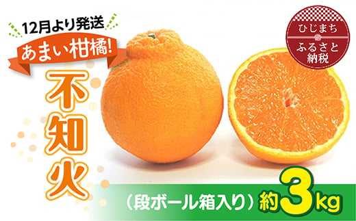 
                  ＜1月より発送＞あまい柑橘!不知火 3kg(7・8玉または10・12玉)段ボール箱入り【1134445】
                