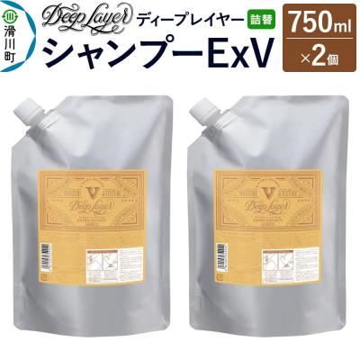 ふるさと納税 滑川町 ディープレイヤー シャンプー ExV 詰替 750mL×2個|19_sss-350201
