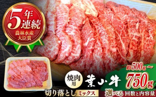 【全3回定期便】【葉山牛】750g　焼肉用ミックス（ロース、モモ、カルビ等） ／ 牛肉 黒毛和牛 神奈川県 特産品【葉山牛ステーキレストラン 角車】 [ASBD031]