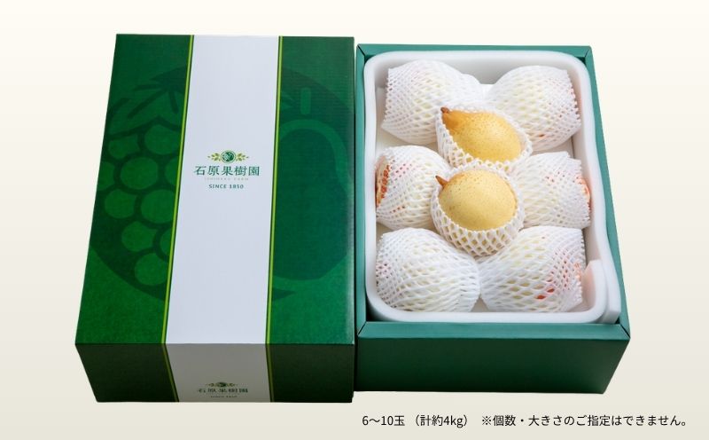 梨 ヤーリー梨 鴨梨 先行予約 6～10玉 4kg 贈答箱 岡山県産 | ヤーリー梨 鴨梨 梨 特選品 上級品 贈り物 御歳暮 果物 くだもの フルーツ 石原果樹園 【ishk019-01】