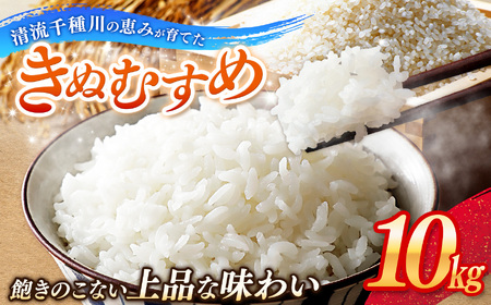 令和7年産 上郡町からのお米 きぬむすめ10kg | お米 きぬむすめ 美味しい 国産 兵庫県 上郡町