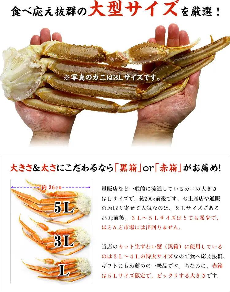【12月31日まで指定配送可（備考欄の記載必須)】生ずわいがに 約1kg [024-b024] ｶﾆ