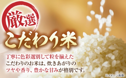 【全3回定期便】コシヒカリ 5kg 滋賀県長浜市/狩野農園 [AQDK005]