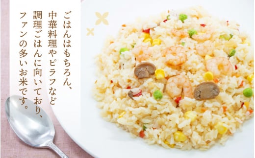 ハナエチゼン 5kg 令和6年 新米 福井県産【玄米】【お米 はなえちぜん 華越前 5キロ】 [e30-a066]