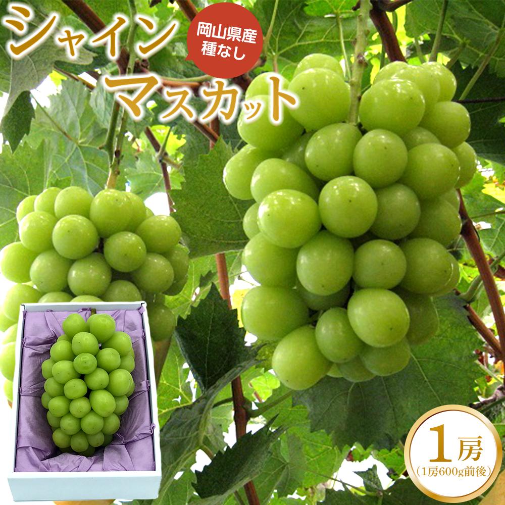 【ふるさと納税】ぶどう 2026年 シャイン マスカット 1房（1房600g前後） 産地直送 ブドウ 葡萄 岡山県産 国産 フルーツ 果物 ギフト たけまさぶどう園 | フルーツ 果物 くだもの 食品 人気 おすすめ 送料無料