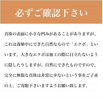 ふるさと納税 嘉麻市 K18あこや真珠Yチェーン(飾り付き)(45cm) |  | 02