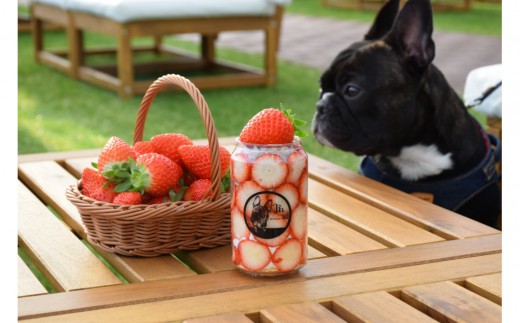 
                  スイーツ作り付き90分いちご狩り食べ放題体験チケット
                