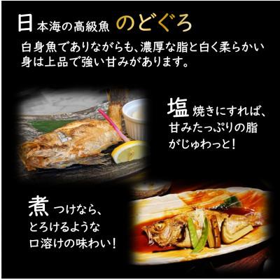 ふるさと納税 あわら市 【真鯛の頭付き】煮てよし焼いてよし! 日本海産のどぐろ 5パック |  | 01